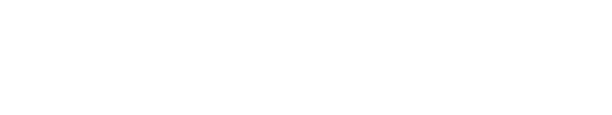 Blue Ridge Care logo